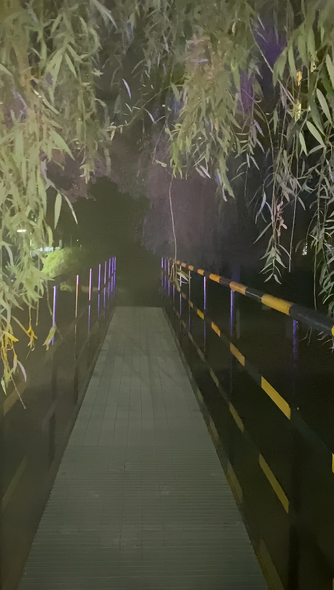 夜深人静的桥