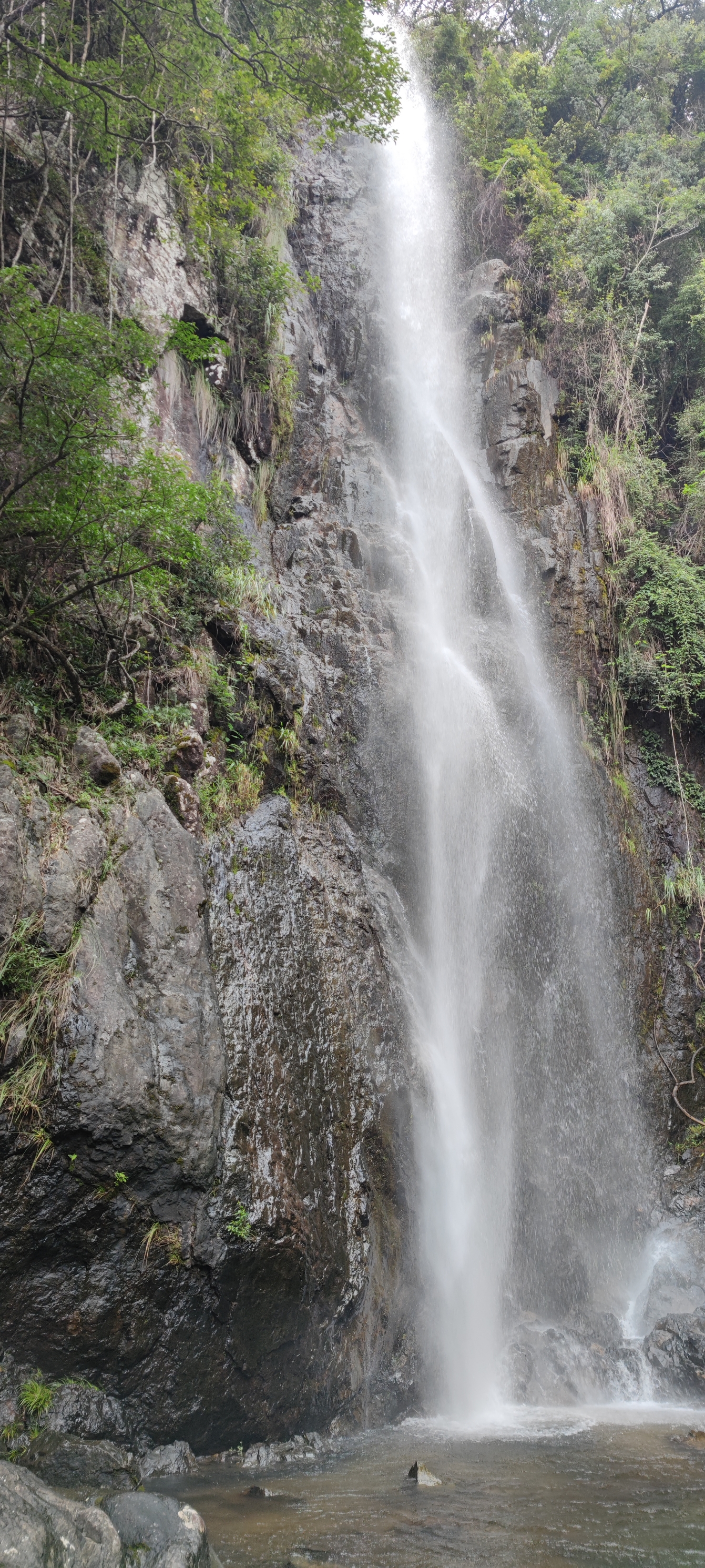 安溪最美的自然景观:林木，峡谷，瀑布，藤萝……