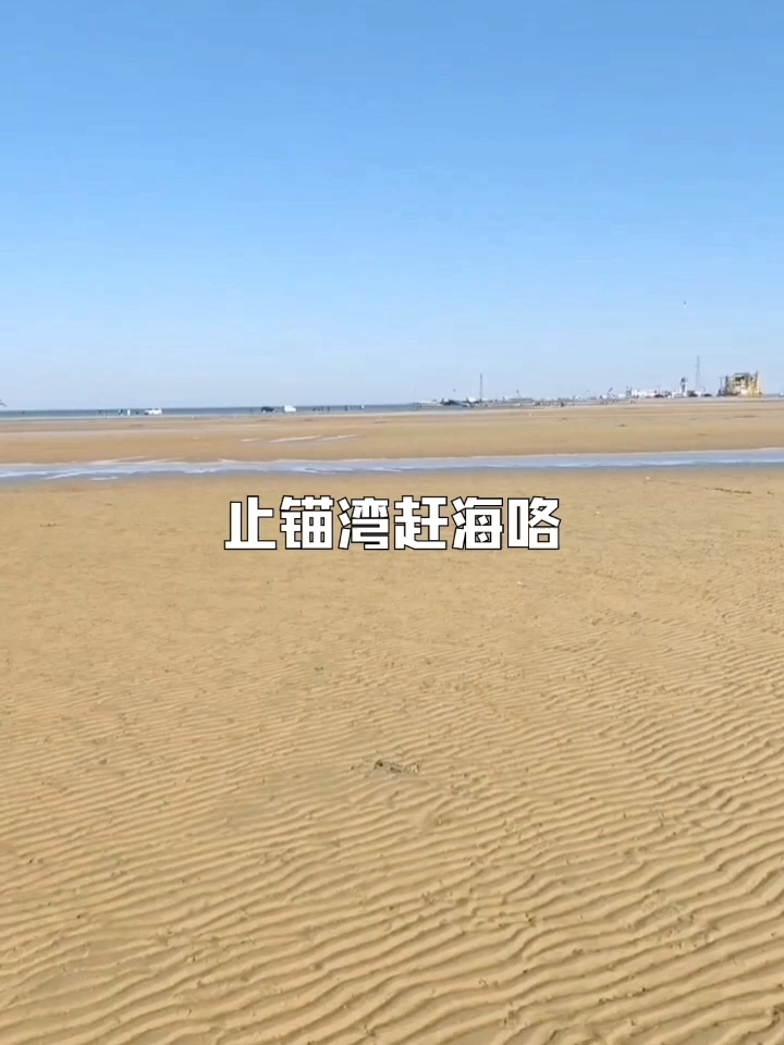 五一假期，止锚湾赶海！