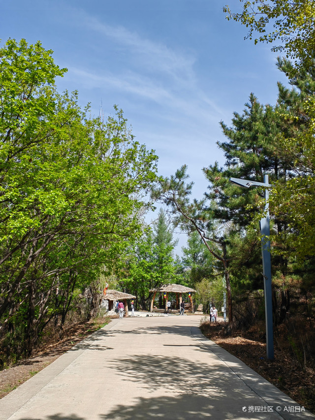 延边龙井琵岩山风景区随拍