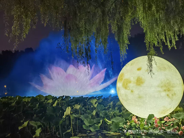 北陵公园的夜景