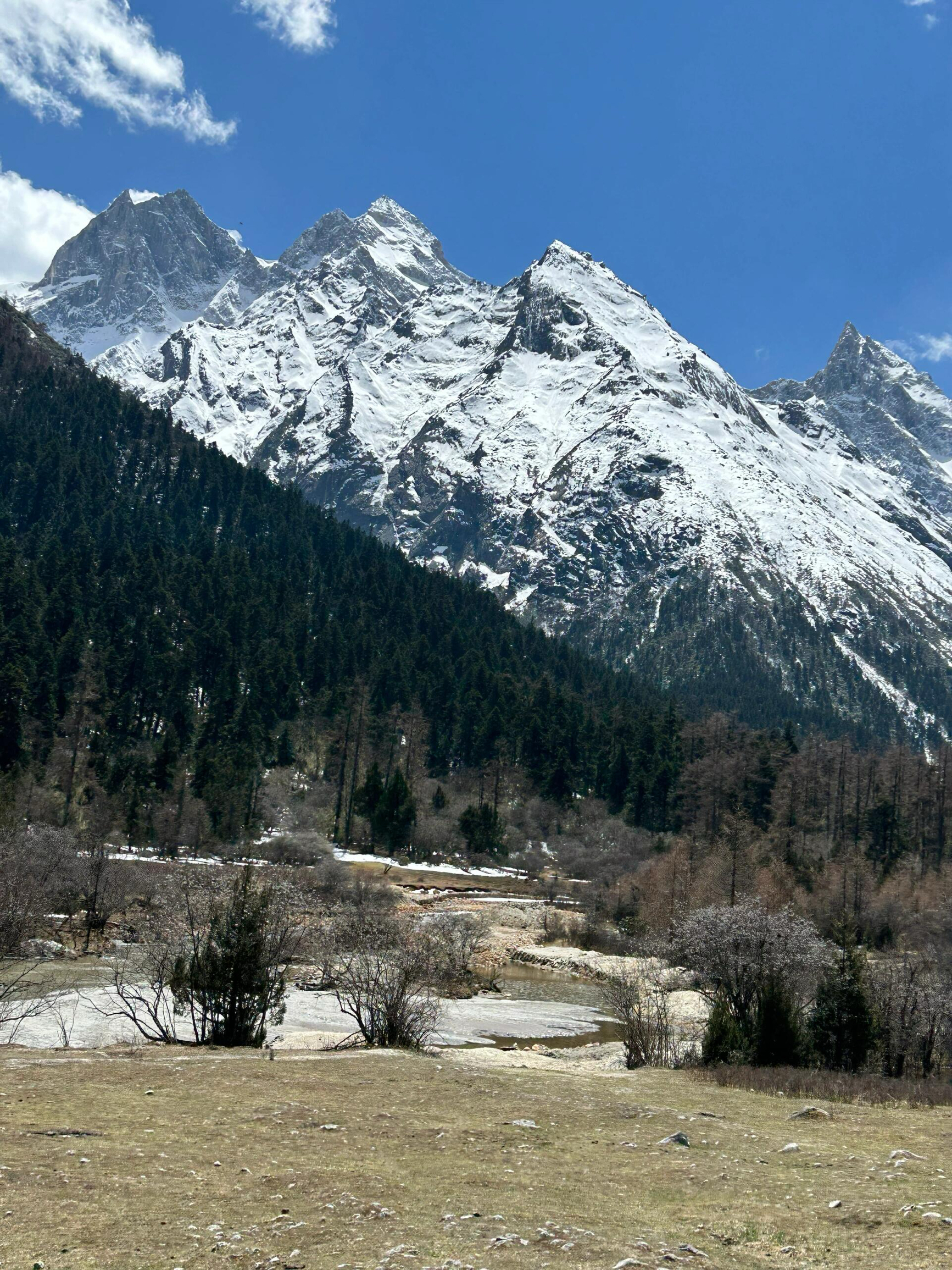 四川“小瑞士”🏔️|这周的理县毕棚沟美哭了