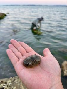 那香海钻石沙滩浴场-荣成-旅行指南ZH