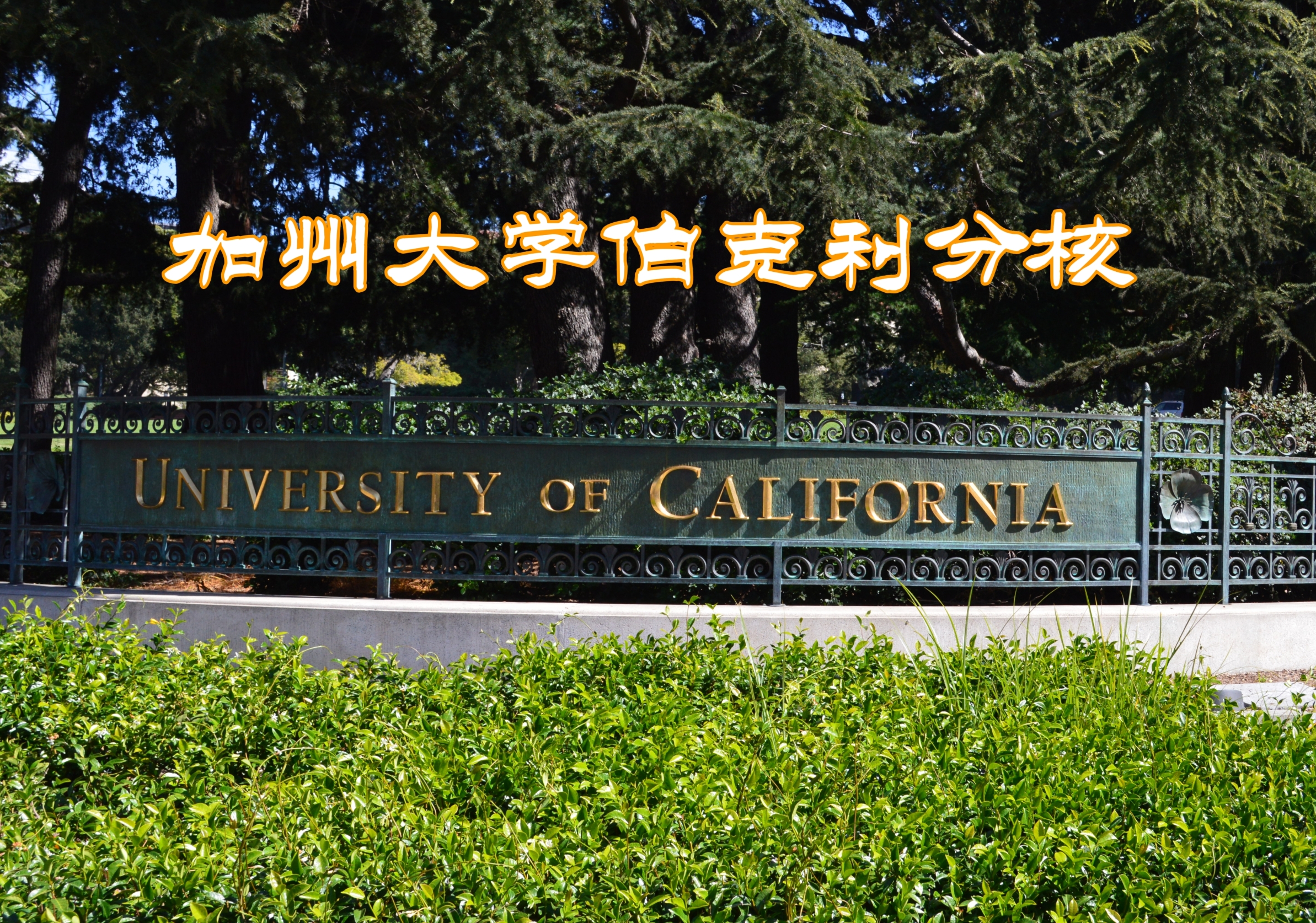 加州大学伯克利分校 世界著名公立研究型大学