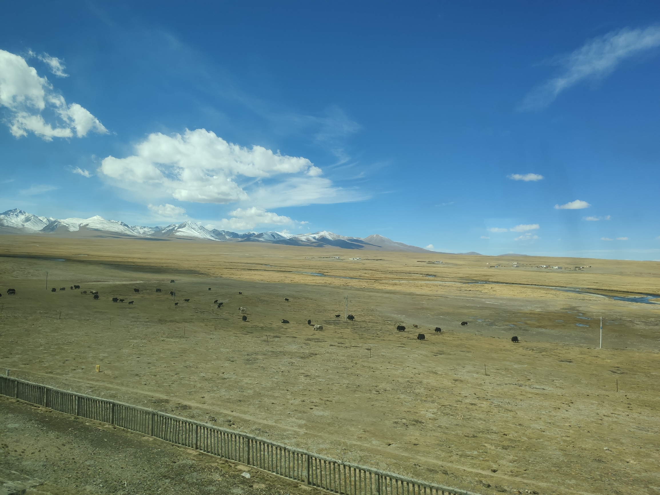 有什么能比藏北高原更辽阔和荒凉？有什么能比错那湖更清澈和蔚蓝？