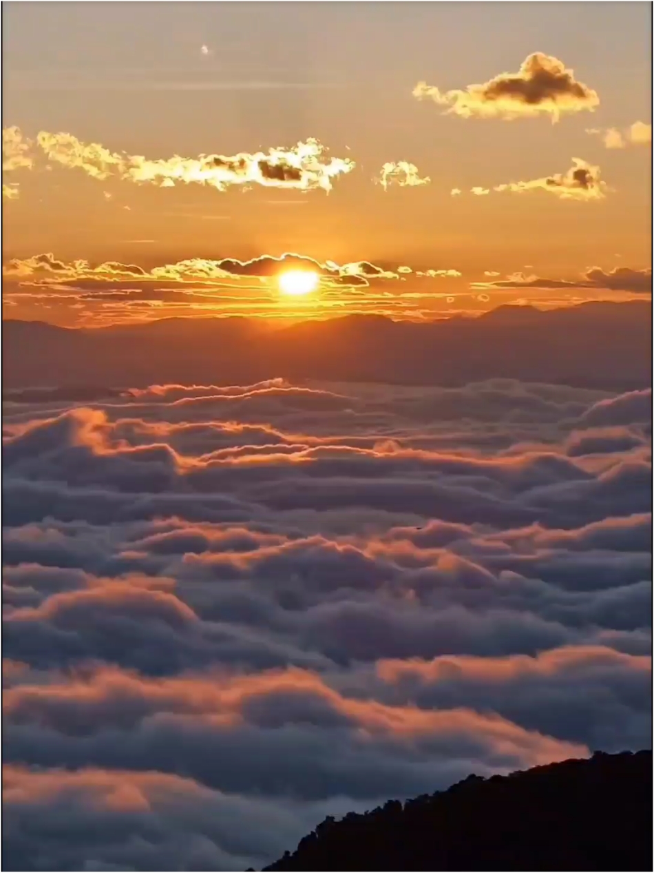 哀牢山是一个欣赏云海日出的好地方。这里的云海壮观美丽，山间云遮雾罩，暗流涌动，如仙境一般。#日出云海