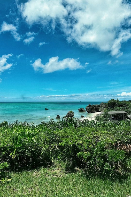 OLU Grill餐厅图片