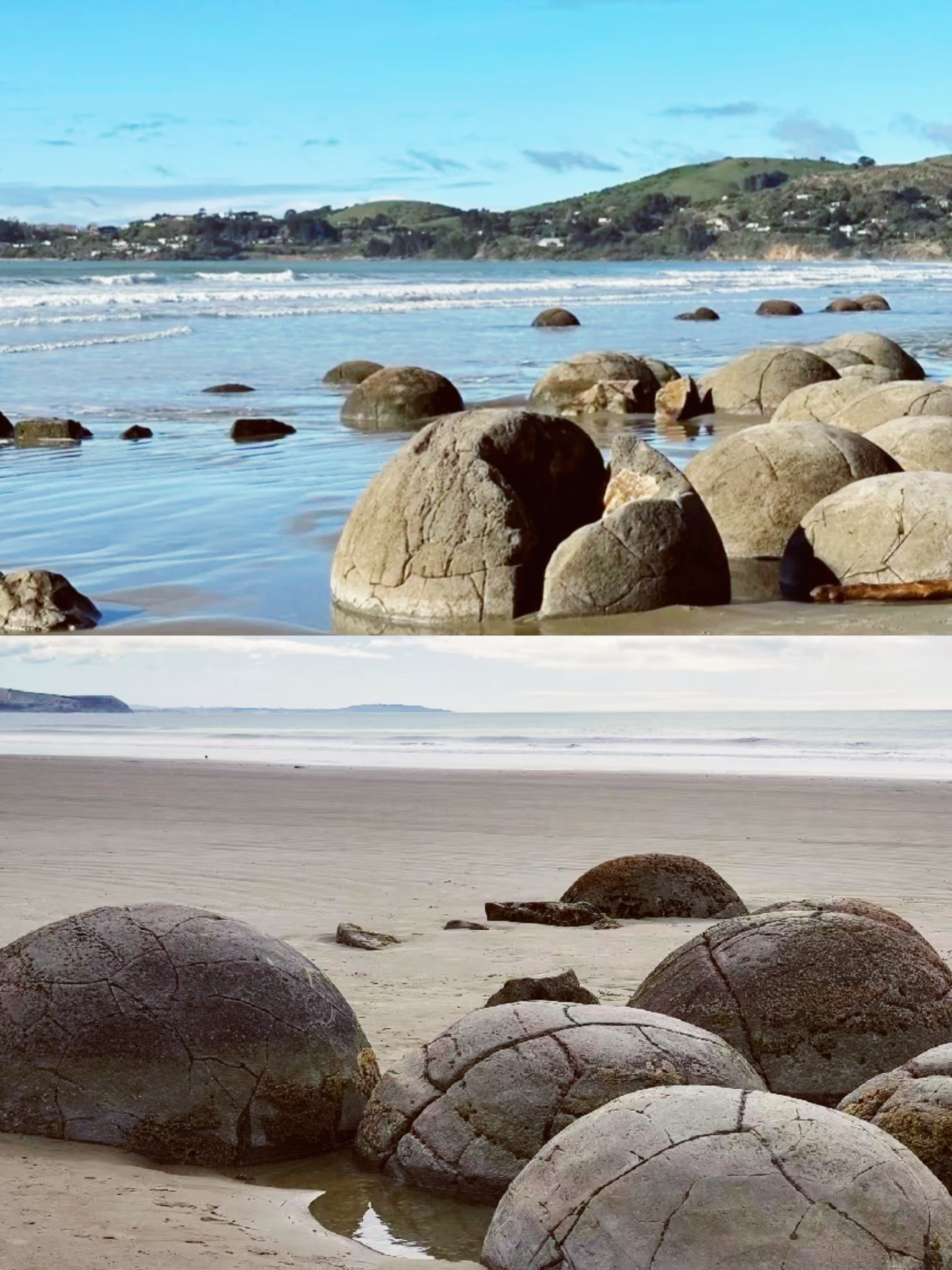 新西兰的巨石蛋-摩拉基大圆石