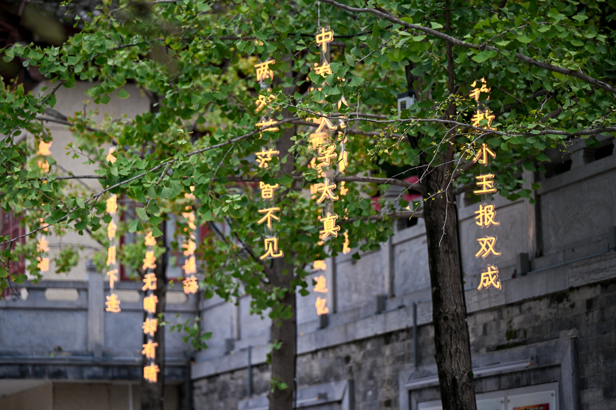 华清宫的诗词灯，也太美了吧