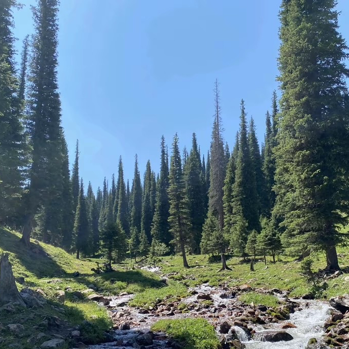 可爱的那拉提餐厅图片