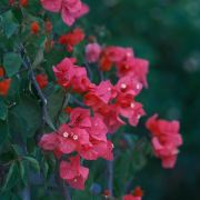 全球吃喝办主任