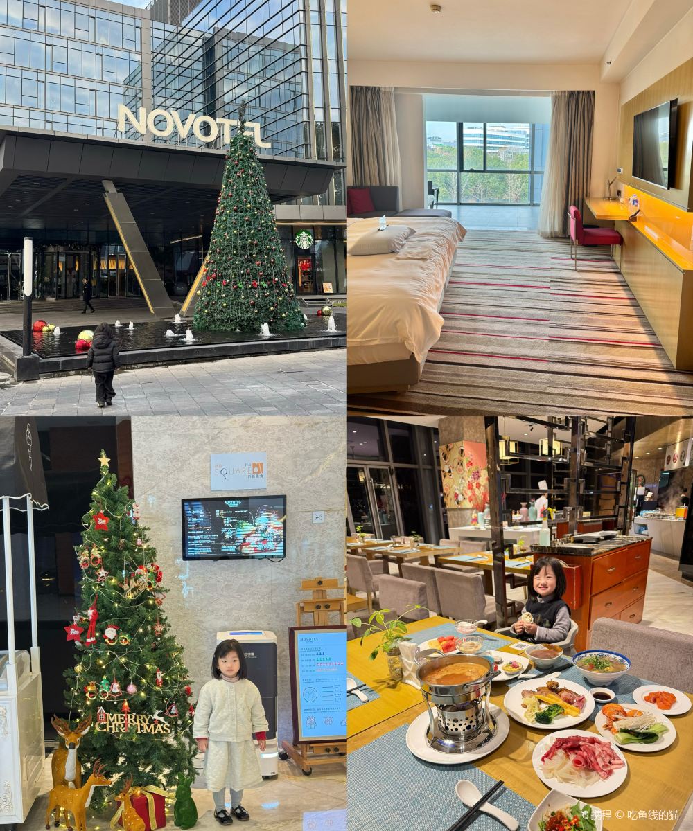 南京玄武苏宁诺富特酒店图片