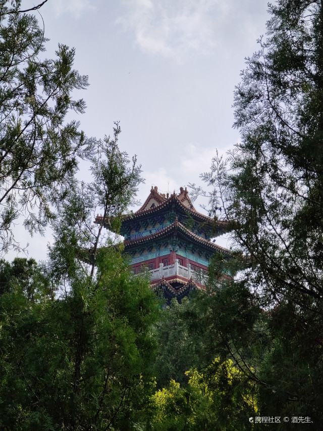 市民公园,登高望远,济宁嘉祥萌山公园.