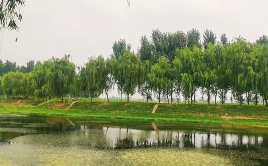 山东枣庄市山亭区：生态漷河景色美