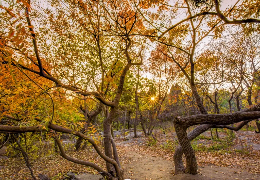 蒙山秋景