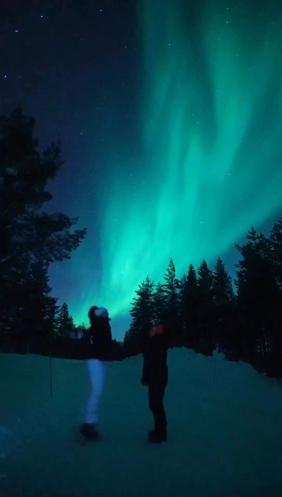当你计划挪威的极光之旅时，以下是一份详细攻略： **1. 季节和时间：** 极光最活跃的季节是在冬季