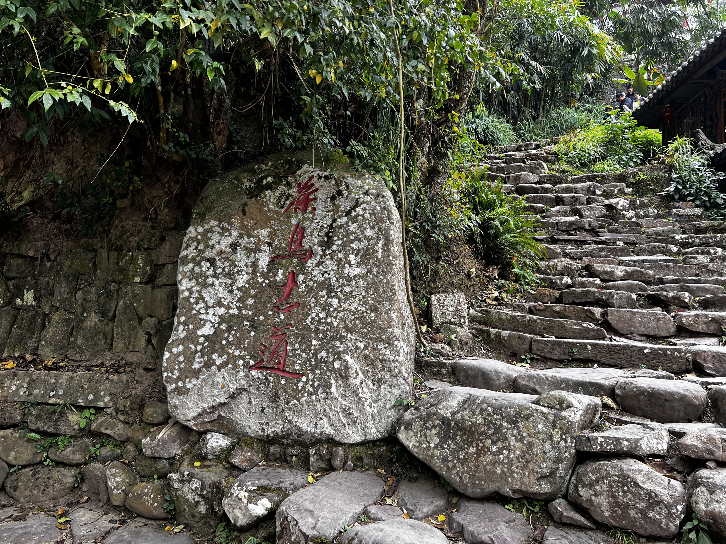 那柯里茶马古道