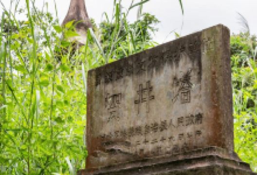 贺井塔景点图片