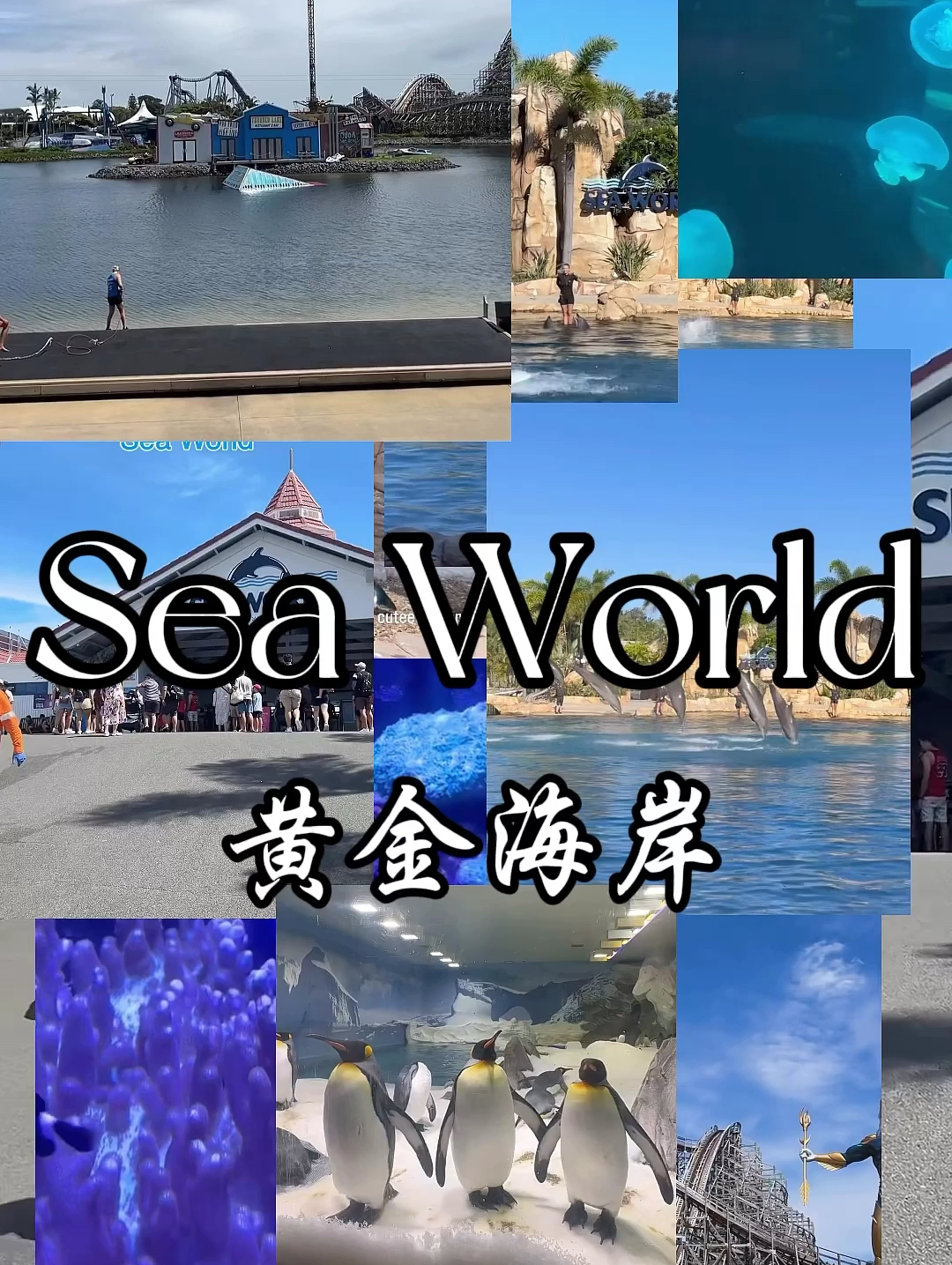 黄金海岸上的Sea World 海洋世界，澳洲最大的海洋公园