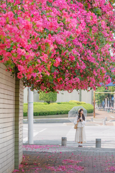 东莞徐记食品有限公司