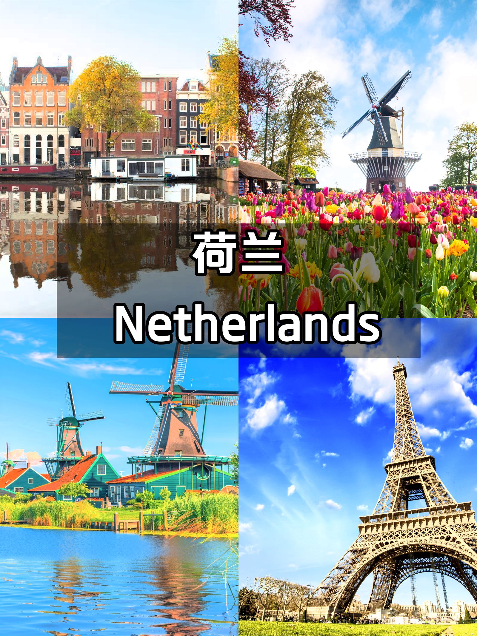 荷兰旅行秘籍🔥让你一次就爱上这里❗