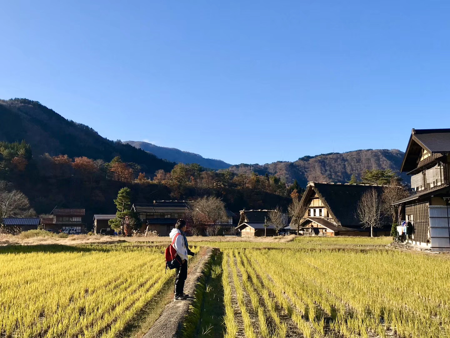 日本白川乡🍃怎么会有一年四季都美的精灵村