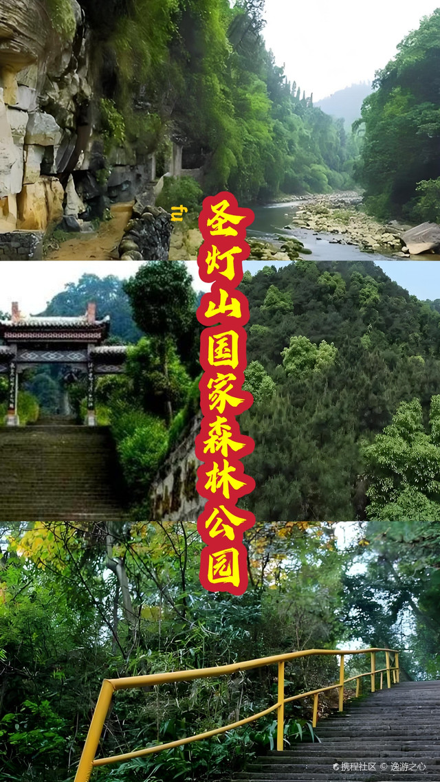 重庆圣灯山森林公园玩法