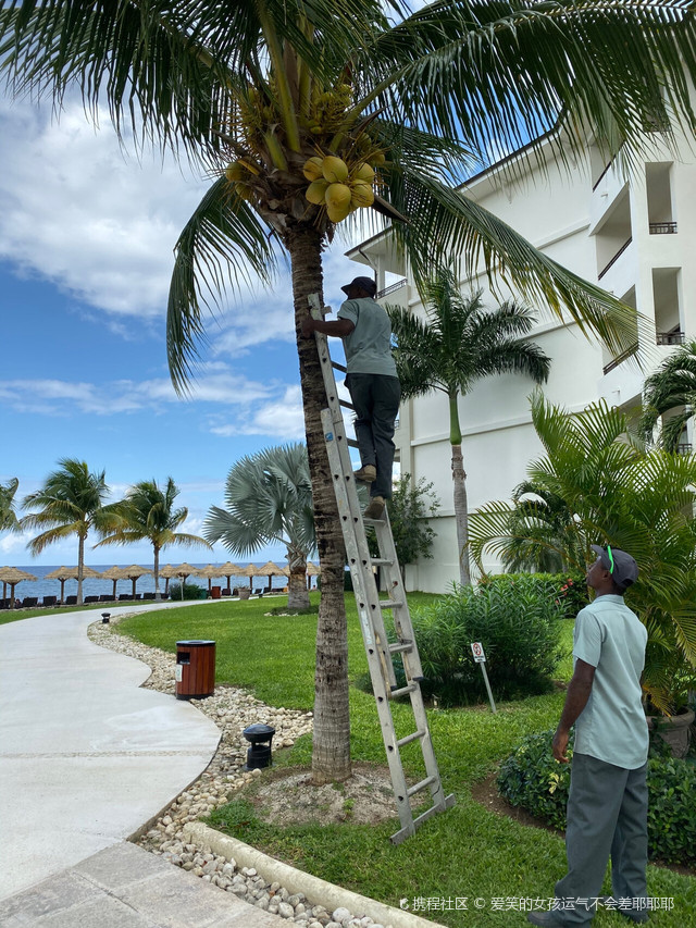 牙买加世界上最穷犯罪率最高的地区之一