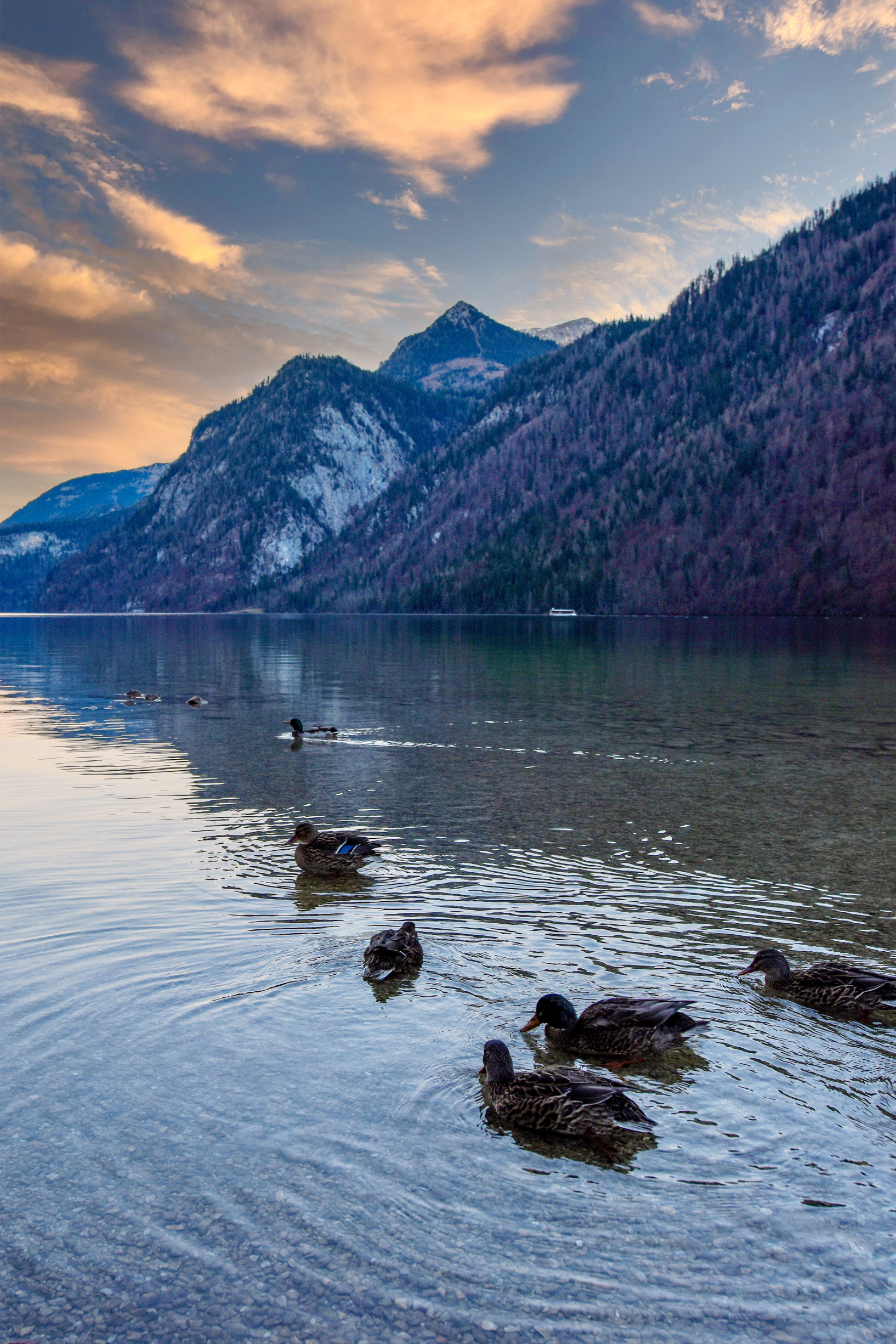 德国国王湖，藏在欧洲腹地的人间仙境