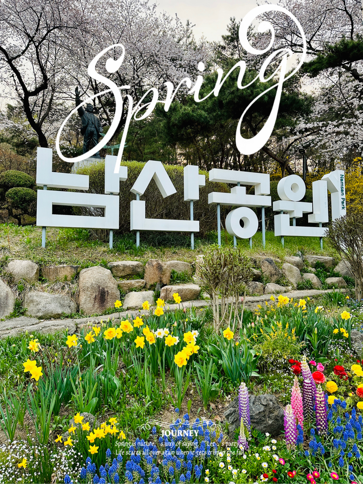 🇰🇷首尔｜🌸樱花季完满啦！春天超美！