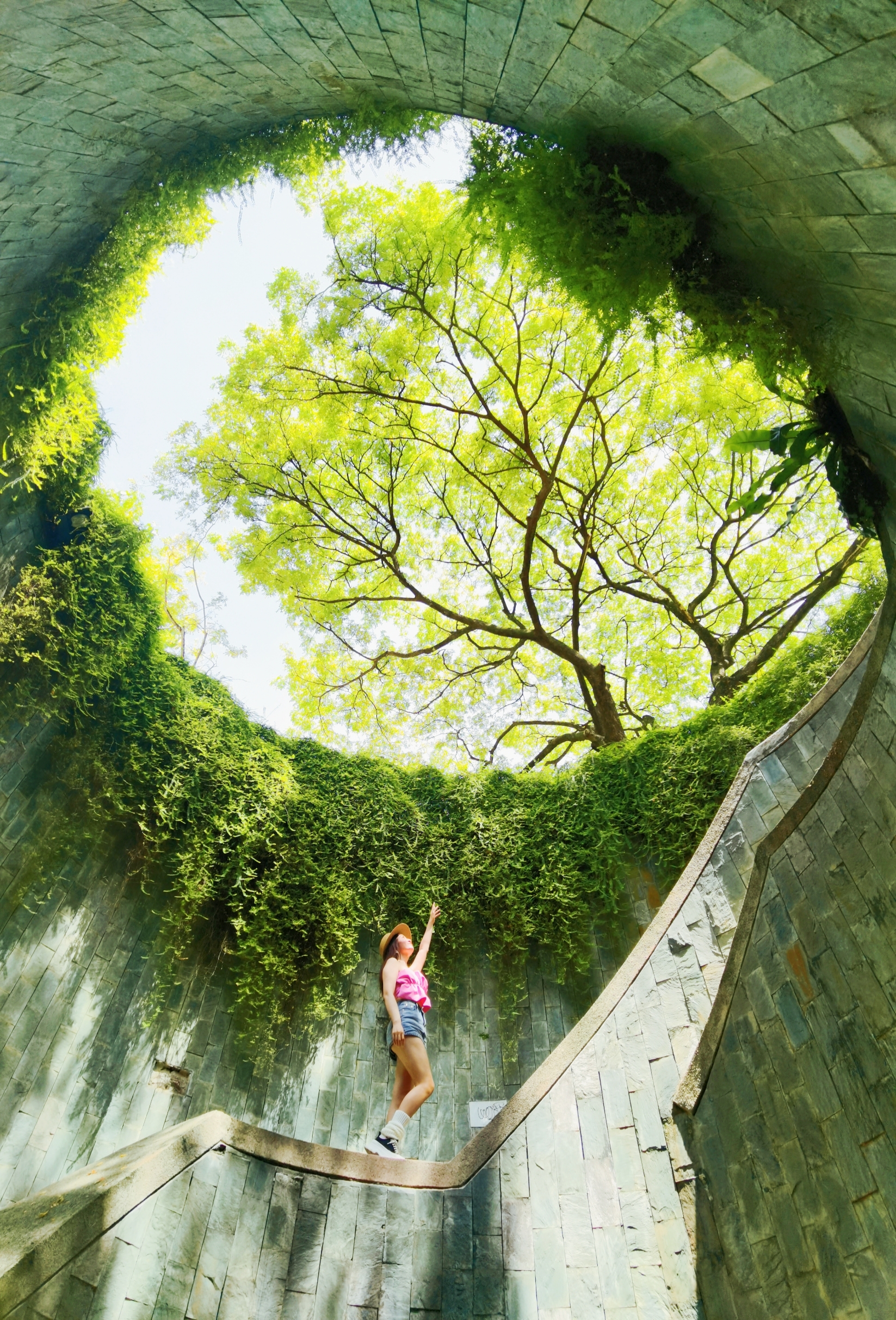 新加坡🇸🇬福康宁公园可不止网红树洞