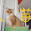 👑 李融语²⁰²⁵👑