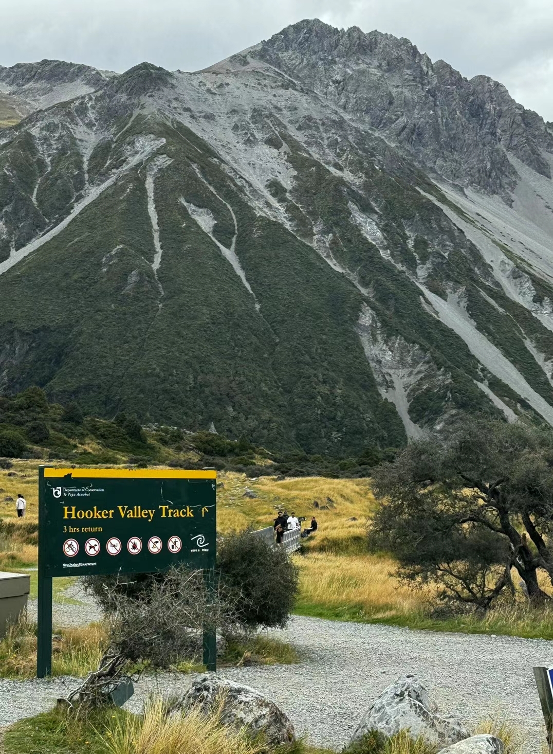 新西兰最值得徒步的库克山的必打卡徒步指南‼️居然免费进🤗