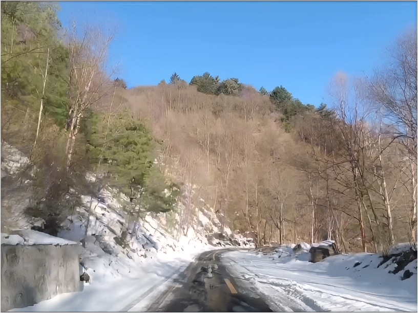 路上的风景