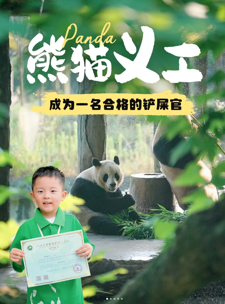 暑假带娃来成都养熊猫 熊猫义工身份get!