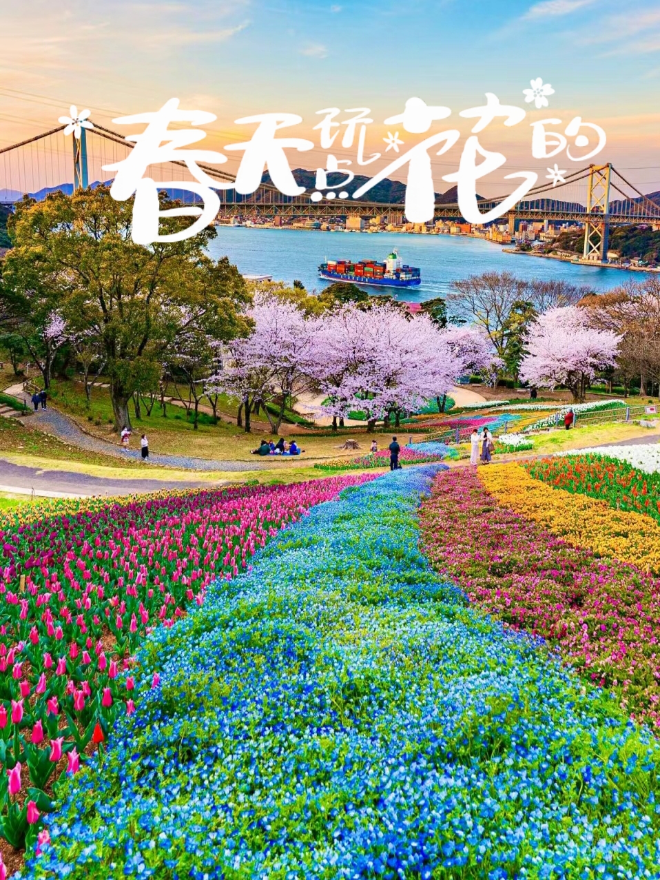 #春天玩点花的  《火之山公园花海游记》   春末夏初的时节，我来到了日本的火之山公园，这里正绽放着