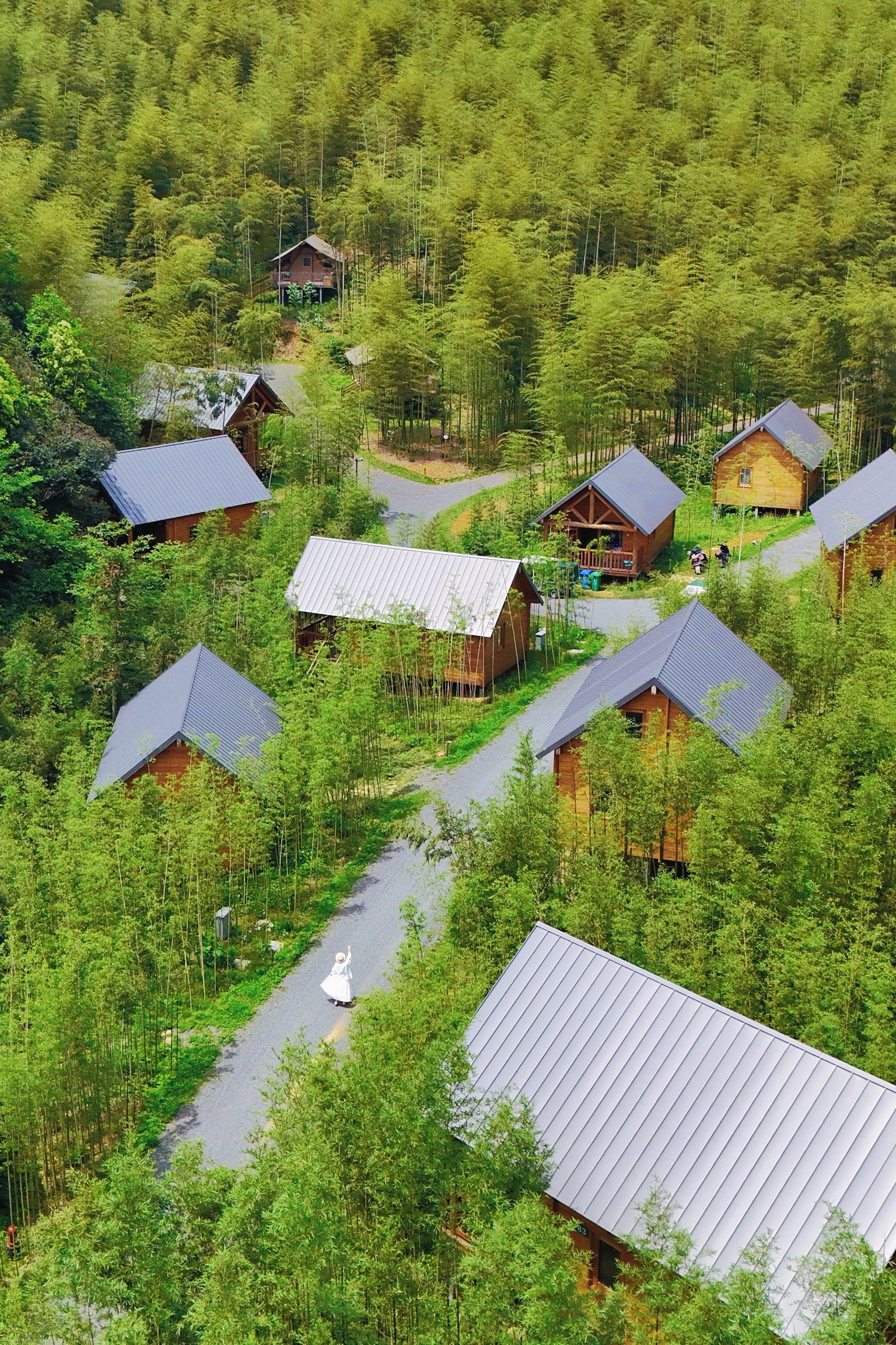 没有去北欧🌳杭州周边的森林树屋！好像漫画！