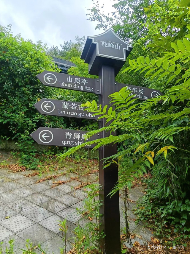 驼峰山生态公园游记|打卡绍兴驼峰山城市生态公园