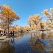 YoYo_0E4X3N6K紫罗兰