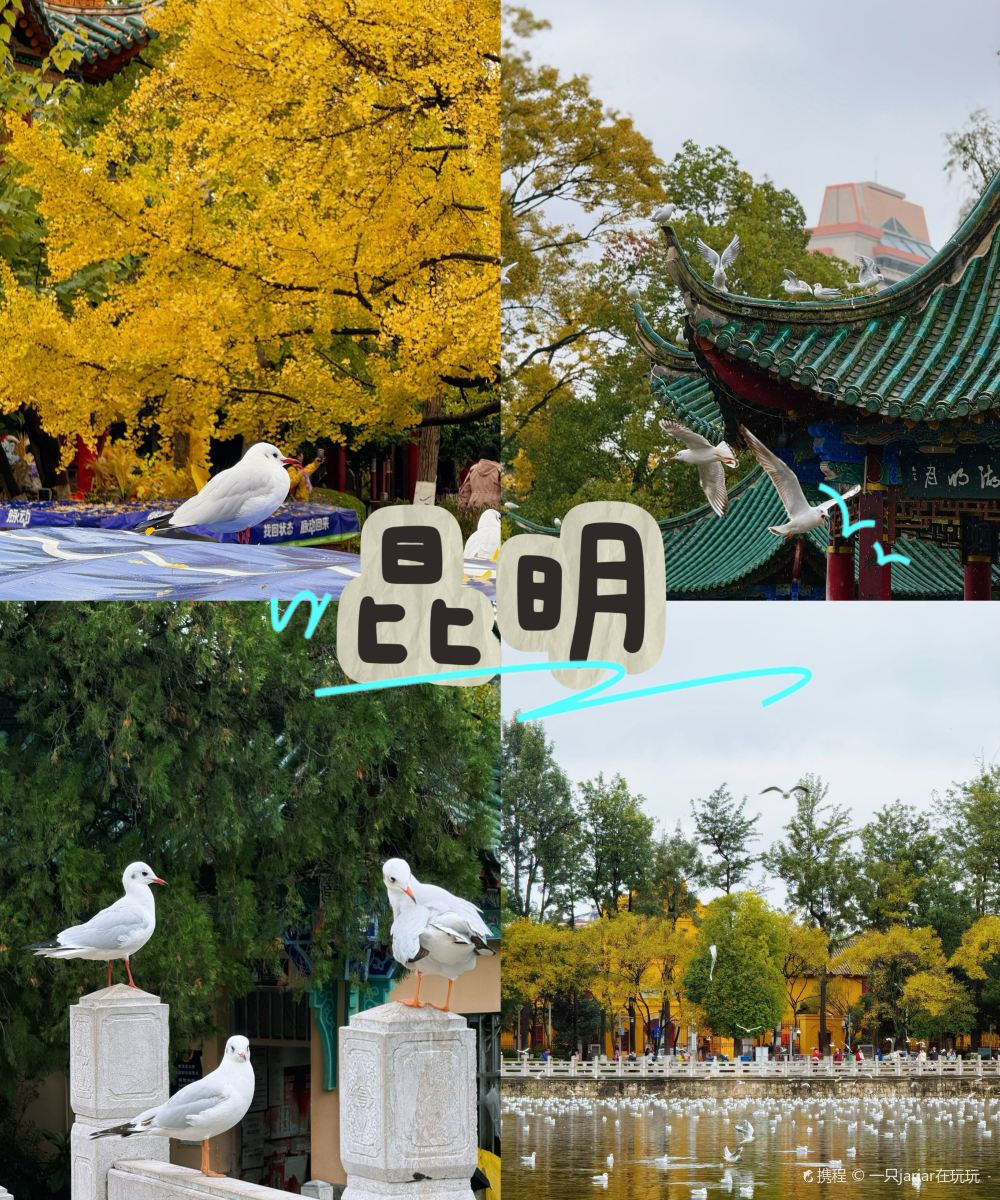 昆明世博园新迎新城漫心酒店图片