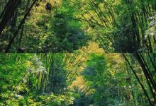 仙寓洞景点图片