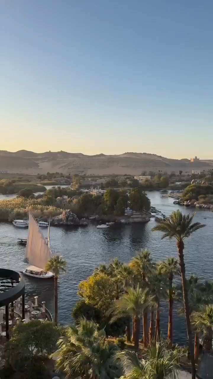 尼罗河#尼罗河风景 #埃及尼罗河 #收集新年好运仪式感