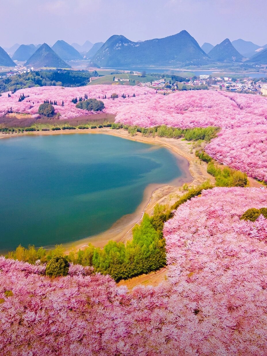 胜过台湾，不输日本！被外国媒体称为蓝色星球最美樱花园！