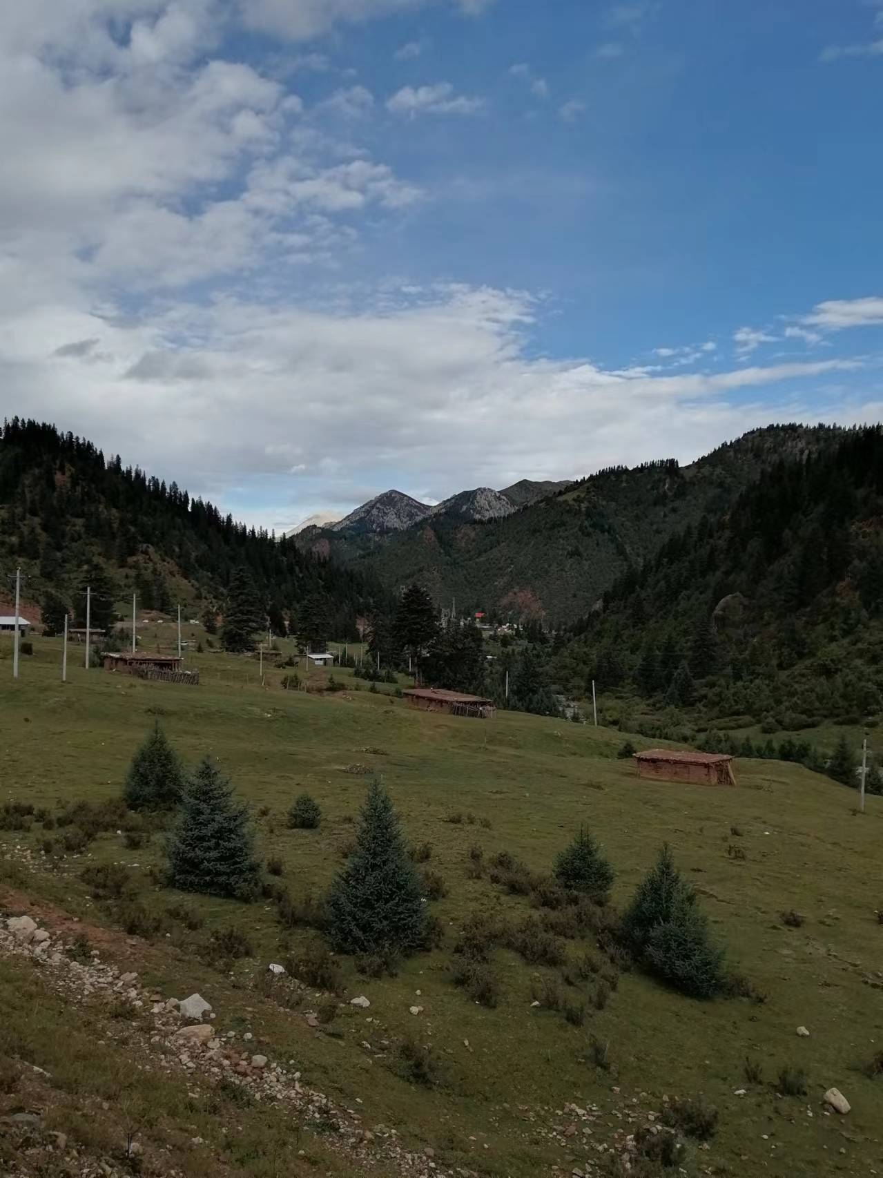 #公路上的风景 #国内浪漫旅行地 这是一处位于青藏高原边缘的高山草场，海拔超过3000米，这里群山逶