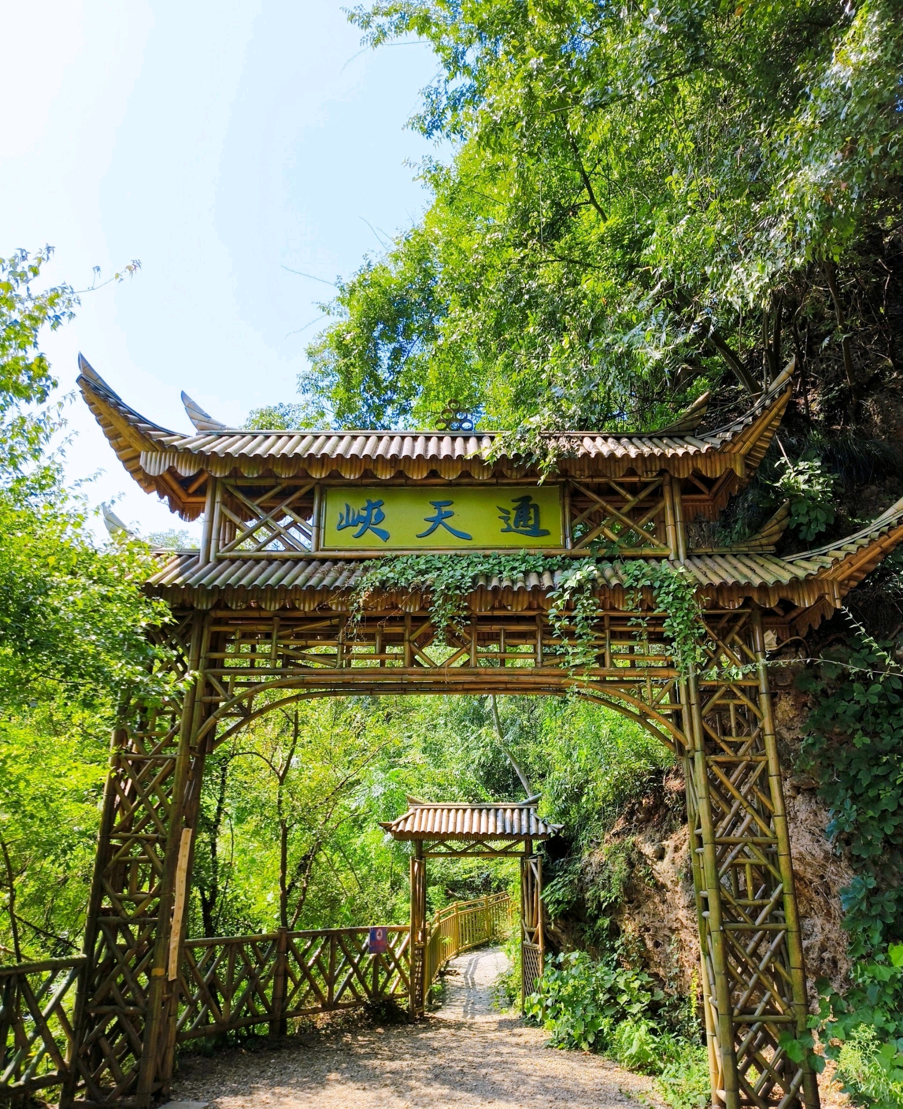 新联生态葡萄采摘园餐厅图片