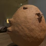 美利坚峡谷张必先