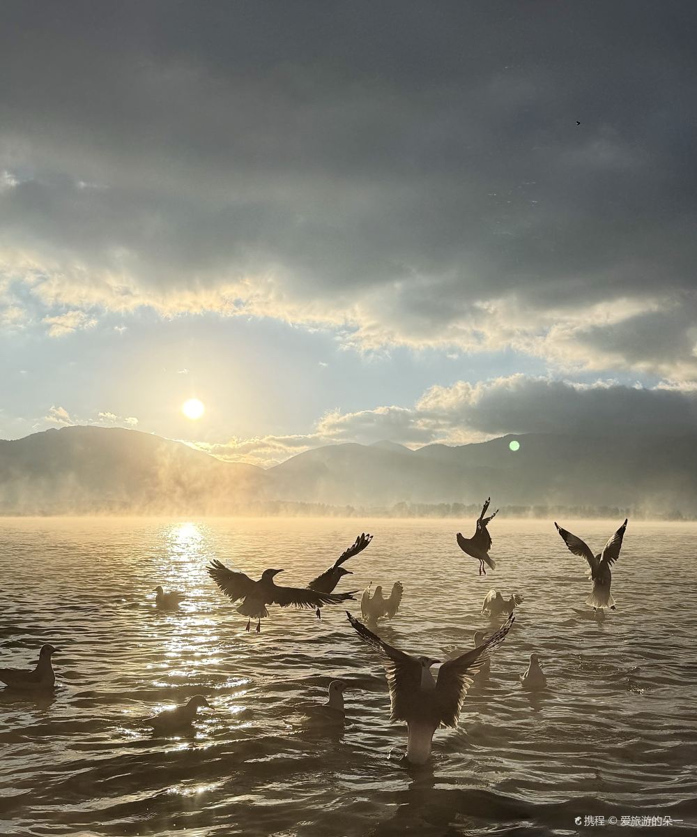 泸沽湖岚屿|亲水木屋湖景度假美宿(洛洼码头店)图片