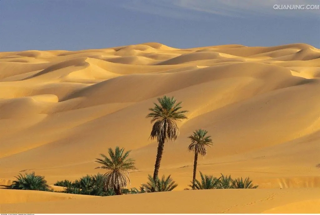 撒哈拉沙漠（Sahara Desert）形成于约250万年前，是世界最大的沙质荒漠，面积约932万平