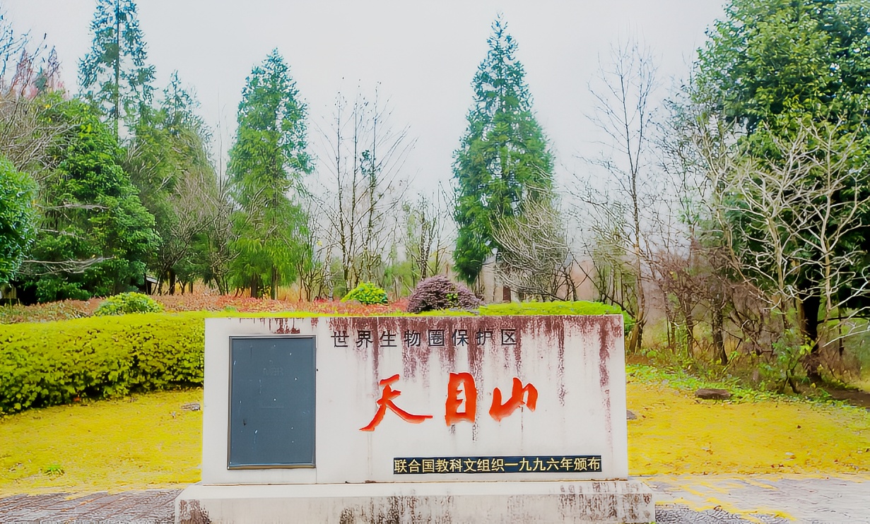 杭州临安有一座天目山，是休闲旅行的好去处