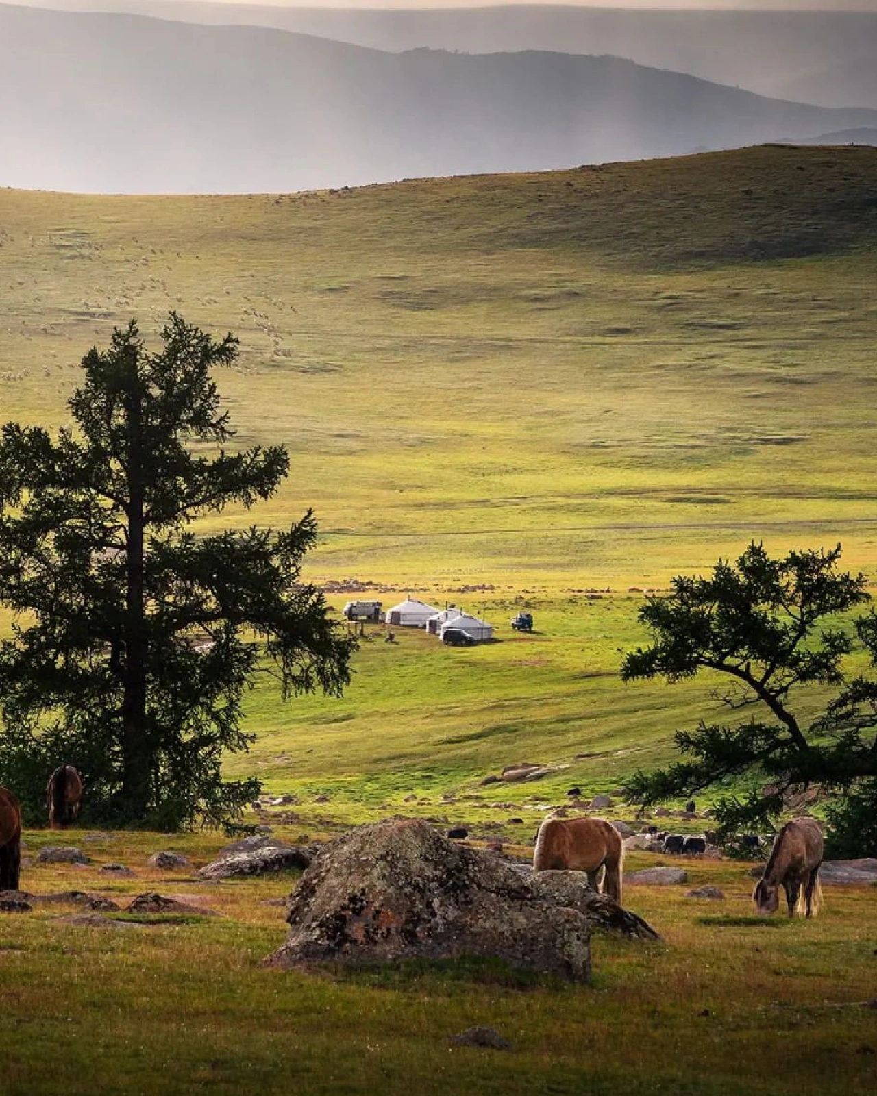 青青草原，蒙古风光，陆上邻国